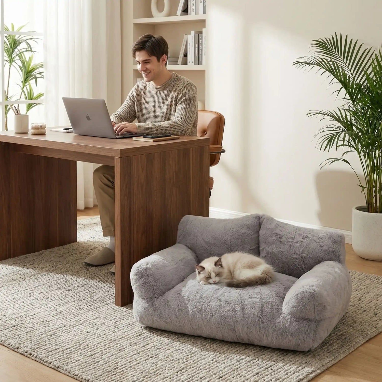 lit chaton canapé gris, chaton lové près du bureau
