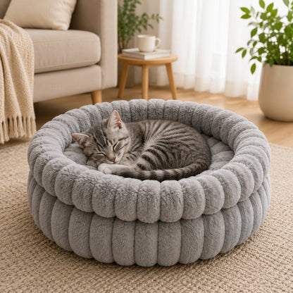 lit chaton gris perle chaton lové dedans