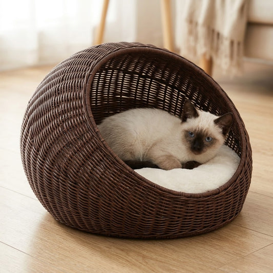 lit chaton rotin marron glacé chaton siamois lové