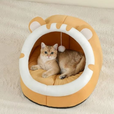 lit pour chat chaton en relaxation dedans