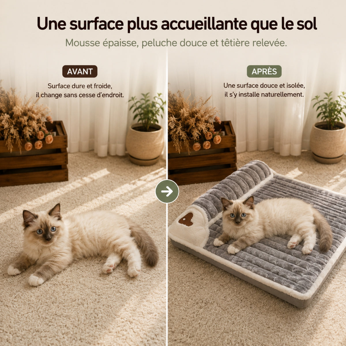 lit pour chaton avant après surface douce isolée