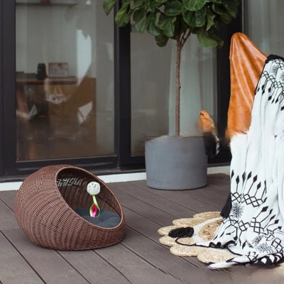  lit pour chaton dans patio
