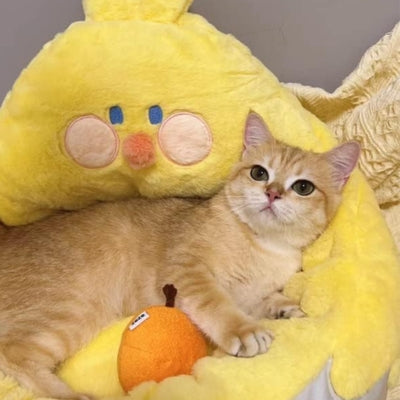 lit pour chat chaton relaxant confortablement dedans