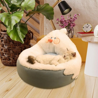 lit pour chat ragdoll se repose confortablement dedans