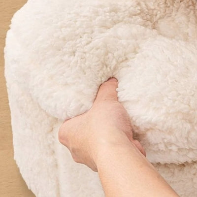 main testant texture cocon pour chat