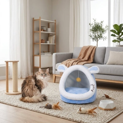 maine coon à côté niche chats bleu dans salon