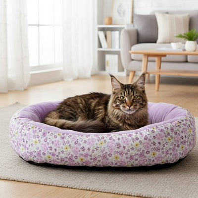 maine coon detendu dans coussin chats violet fleuri