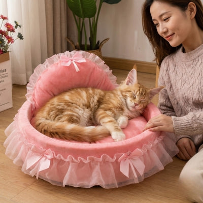 maine coon dort couffin chaton mapitresse le regarde