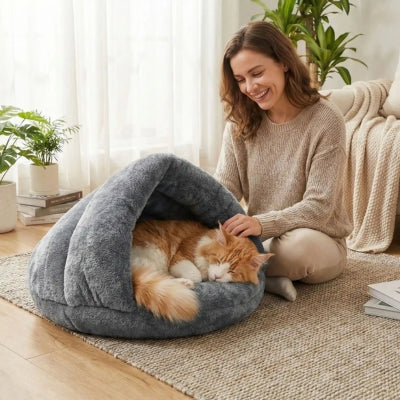 maine coon dort dans une ses maisons pour chat maîtresse le caressant