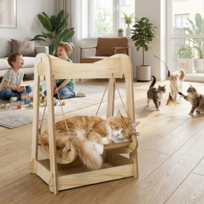 maine coon dort paisiblement sur hamac à chat malgré agitation autour