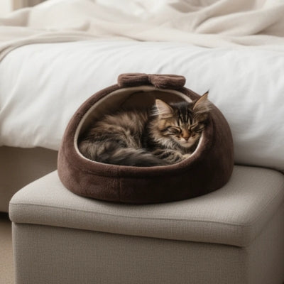 maine coon endormi dans lit pour chaton