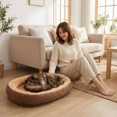 maine coon endormi dans un des coussins chat nid moelleux café dame le caressant