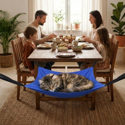 maine coon endormi sur hamac chat suspendu famille attablée