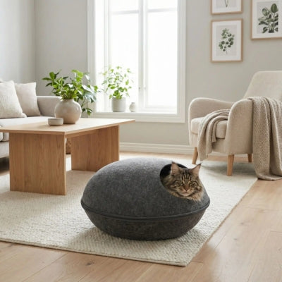 maine coon lové dans cocon pour chat gris foncé