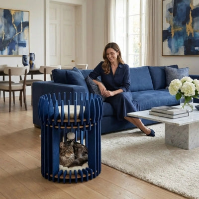 maine coon lové dans cocon pour chat maîtresse satisfaite le regardant