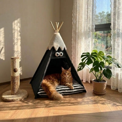 maine coon relaxant dans son tipi pour chat noir