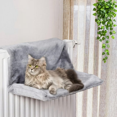 maine coon relaxant hamac radiateur