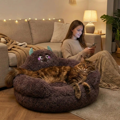 maine coon relaxant sur grand panier chat maîtresse regardant cellulaire