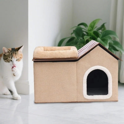 maison à chat beige chat s'amusant à côté
