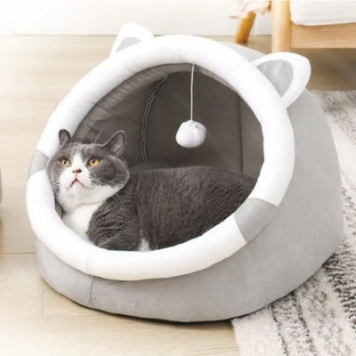 maison à chat chat relaxant paisiblement dedans