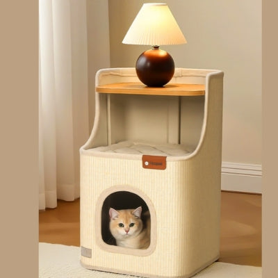 maison à chat chaton blotti dedans