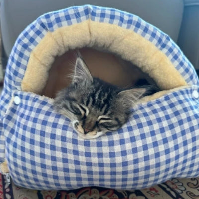 maison à chat chaton-dormant-paisiblement sur bord surélevé