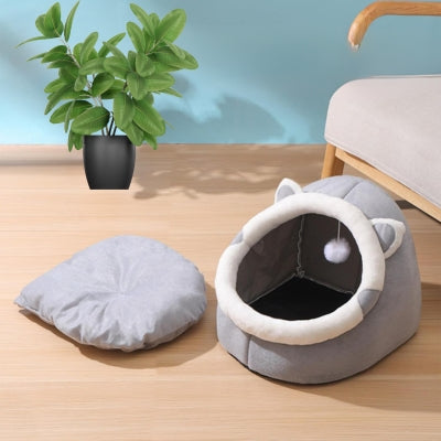 maison à chat dans salon coussin sorti