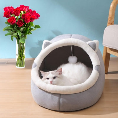 maison à chat persan relaxant dedans