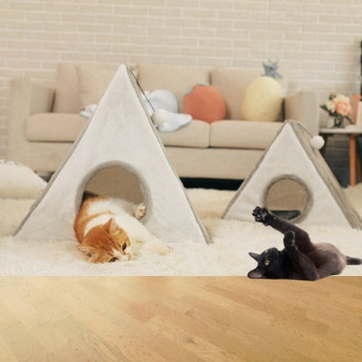 maison à chat pyramide à griffes chat couché dedans chat jouant