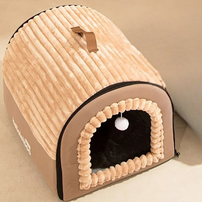 maison chaton beige pêche