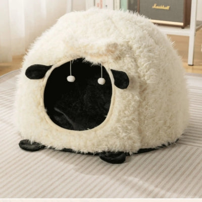 maison chaton crème