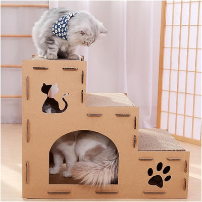 maison en carton pour chat chat dedans persan sur étage d'haut
