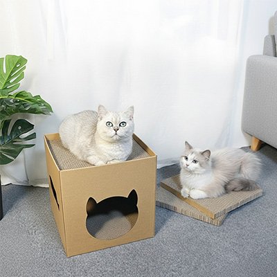 maison en carton pour chat chat en detente haut chat sur griffoirs