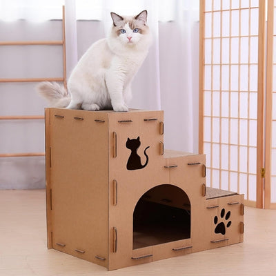 maison en carton pour chat ragdoll assis sur étage supérieur