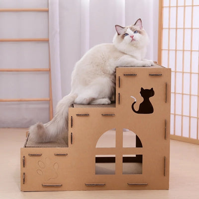 maison en carton pour chat ragdoll detendu dessus