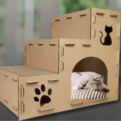 maison en carton pour chat ragdoll dort profondement dedans