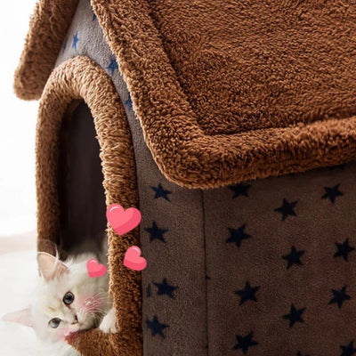 maison pour chat café étoilé chaton sortant sa tête