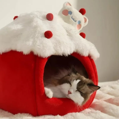 maison pour chat chat endormi paisiblement dedans