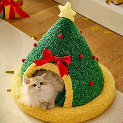 maison pour chat chaton en detente paisible dedans