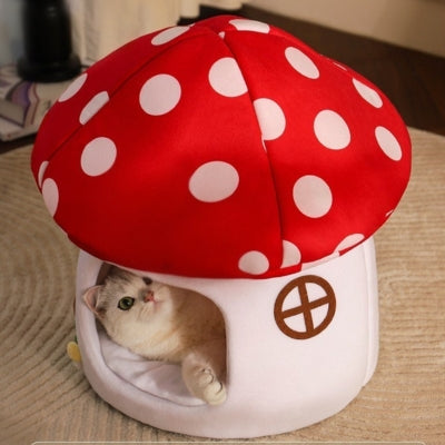 maison pour chaton chaton en relaxation paisible dedans