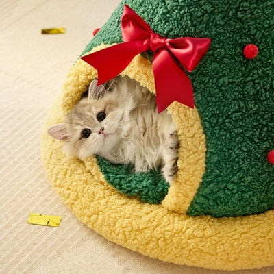 maison pour chat chaton en relaxation profonde dedans