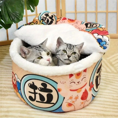maison pour chat cocon ramen deux chatons cachés dedans