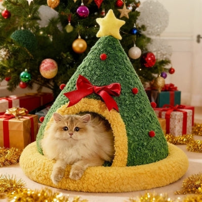 maison pour chat dans salon décoré noel ragdoll en detente paisible dedans