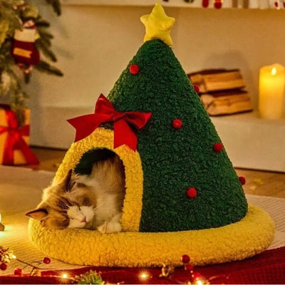 maison pour chat ragdoll en detente paisible dedans dort profondement dedans