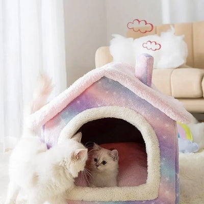 maison pour chat rose astral chaton detendu dedans autre chat devant