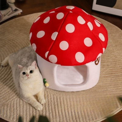 maison pour chaton chat relaxant à côté