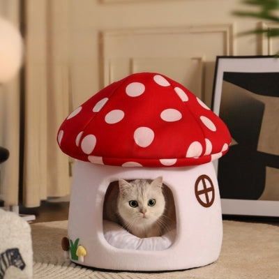 maison pour chaton chaton detendu paisiblement dedans