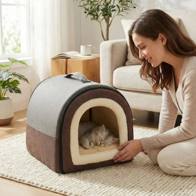 maison pour chaton chaton dort dedans femme le regardant affectueusement