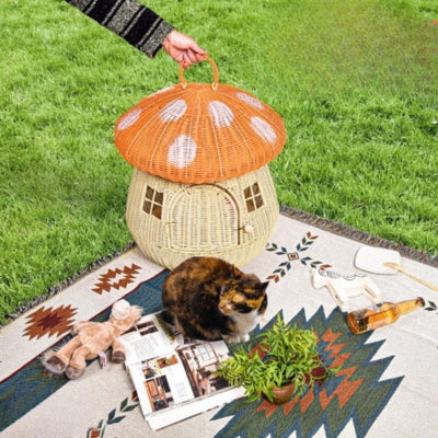 maison pour chaton orange dans jardin