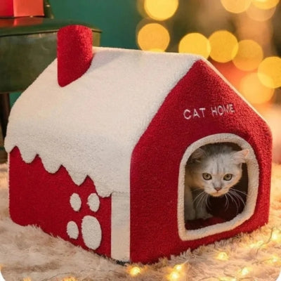 maison pour chats chaton caché à l'intérieur